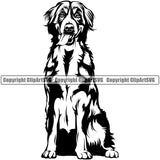 Bernese Mountain Pedigree Sitting Head Doggy Purebred Breed Dog Animal Pup Clipart SVG