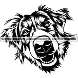 Head Of Bernese Mountain Head Doggy Purebred Breed Dog Animal Pup Pedigree Clipart SVG