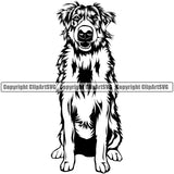 Bernese Mountain Sitting Head Doggy Purebred Breed Dog Animal Pup Pedigree Clipart SVG