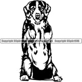 Begging Animal Dog Bernese Mountain Pup Pedigree Head Doggy Purebred Breed Canine Clipart SVG