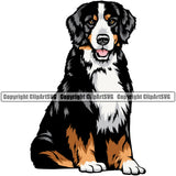 Bernese Mountain Sitting Dog Animal Pup Pedigree Color Head Doggy Purebred Breed Clipart SVG