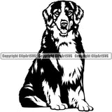 Bernese Mountain Dog Sitting Animal Pup Pedigree Head Doggy Breed Purebred Clipart SVG