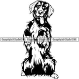 Begging Bernese Mountain Dog Animal Pup Head Purebred Breed Pedigree Doggy Clipart SVG