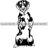Bernese Mountain Begging Animal Dog Doggy Purebred Breed  Pup Pedigree Head Canine Clipart SVG