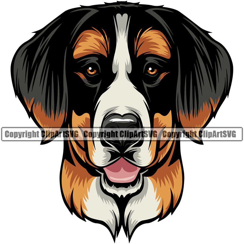 Bernese Mountain Color Head Dog Animal Pup Pedigree Head Doggy Purebred Breed Clipart SVG