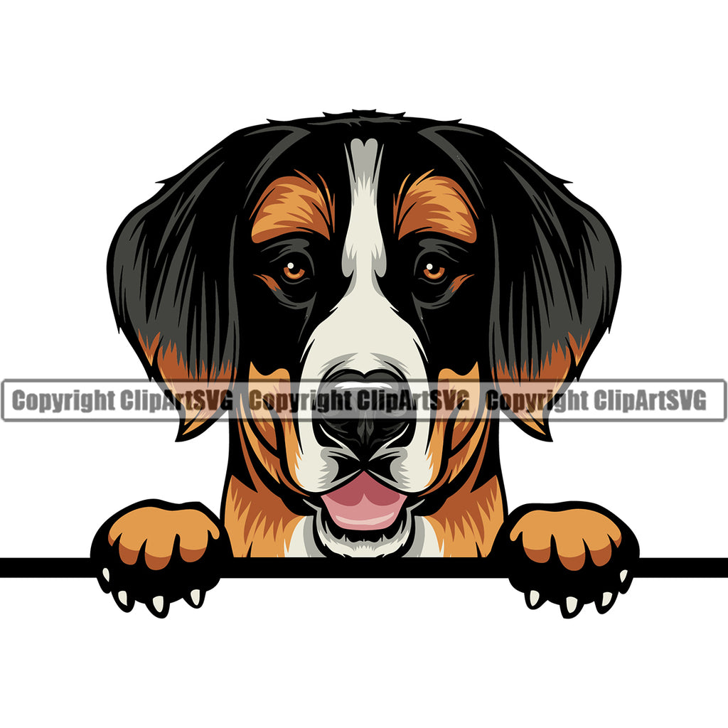 Bernese Mountain Color Peeking Dog Animal Pup Pedigree Doggy Purebred Breed Head Clipart SVG