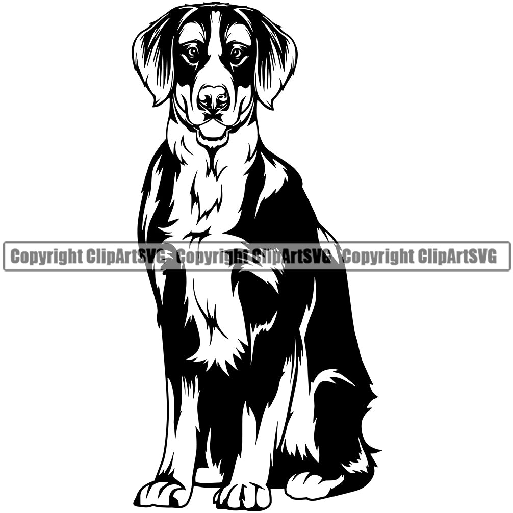 Bernese Mountain Sitting Dog Pup Animal Head Doggy Purebred Breed Pedigree Clipart SVG