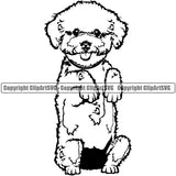 Bichon Frise Begging Cute Dog Animal Pedigree Head Doggy Purebred Breed Clipart SVG