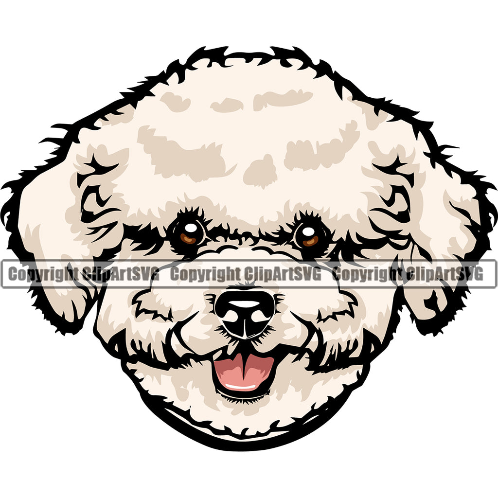 Bichon Frise Head Color Cute Dog Animal Pedigree Head Purebred Breed Doggy Cute Clipart SVG