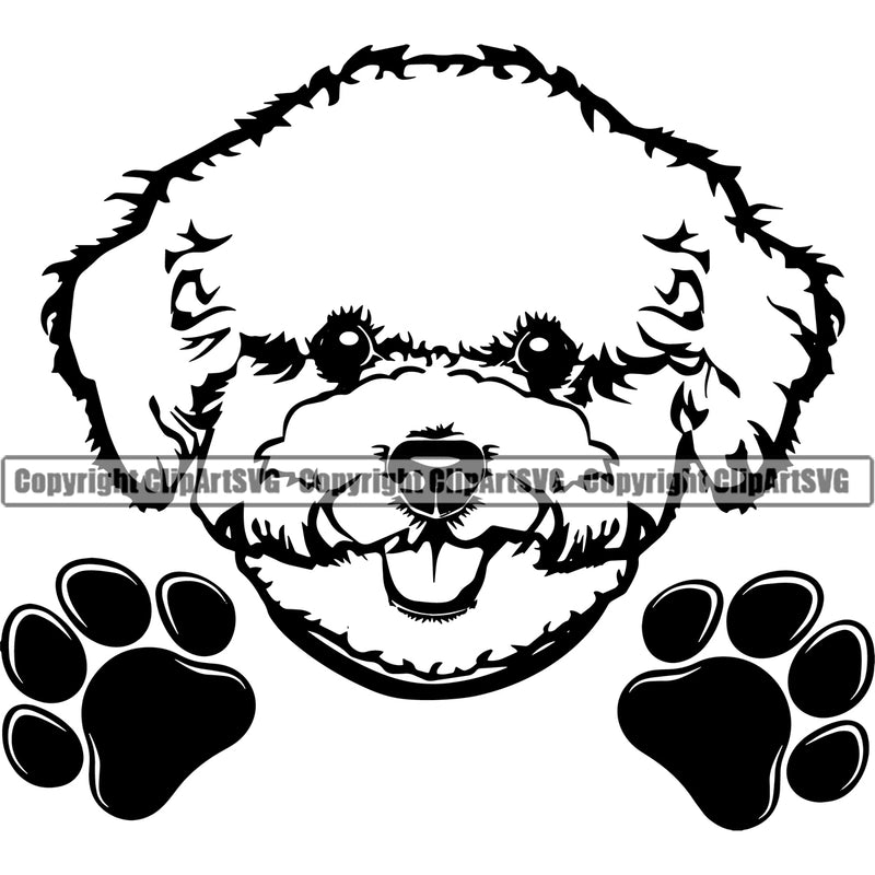 Bichon Frise Peeking Dog Animal Pup Pedigree Head Doggy Purebred Breed Cute Face Clipart SVG