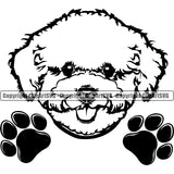 Bichon Frise Peeking Dog Animal Pup Pedigree Head Doggy Purebred Breed Cute Face Clipart SVG