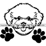 Bichon Frise Peeking Dog Animal Cute Face Pedigree Head Doggy Purebred Breed Clipart SVG