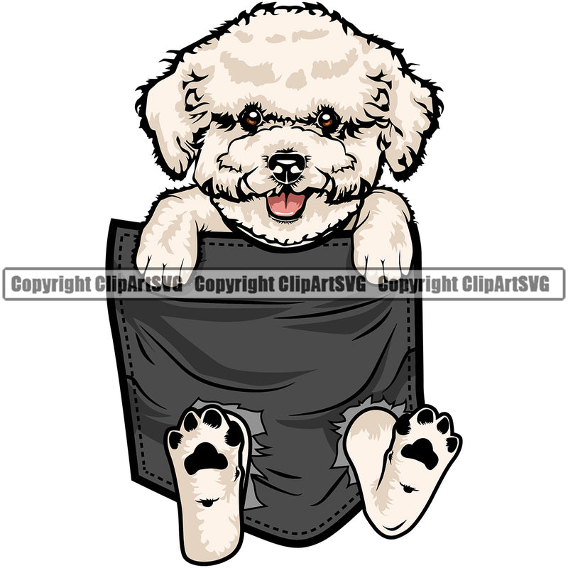 Bichon Frise Cute Dog Hanging From Shirt Pocket Dog Face Pup Pedigree Head Doggy Purebred Breed Clipart SVG