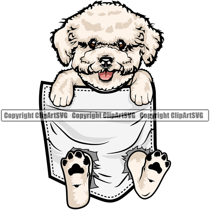 Bichon Frise Dog Hanging From Shirt Pocket Animal Pup Pedigree Head Doggy Purebred Breed Cute Face Clipart SVG
