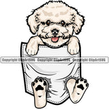 Bichon Frise Dog Hanging From Shirt Pocket Animal Pup Pedigree Head Doggy Purebred Breed Cute Face Clipart SVG