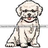 Bichon Frise Cute Dog Sitting Animal Pup Pedigree Head Doggy Purebred Breed Clipart SVG