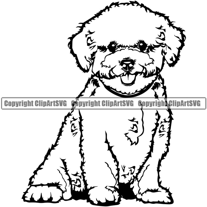 Bichon Frise Sitting Cute Dog Animal Pedigree Head Doggy Purebred Breed Clipart SVG