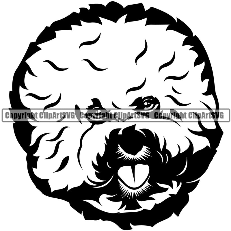 Bichon Frise Cute Dog Face Head Animal Pup Pedigree Doggy Breed Purebred Canine Clipart SVG