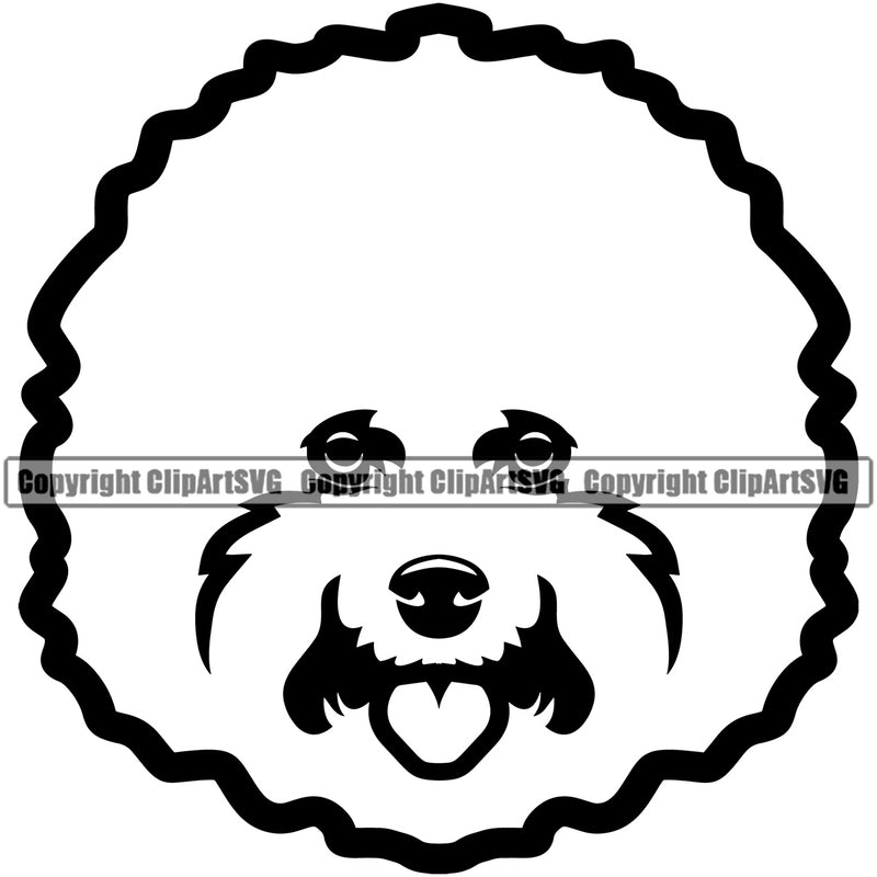 Cute Dog Breed Bichon Frise Animal Face Head Pedigree Head Doggy Purebred Breed Clipart SVG