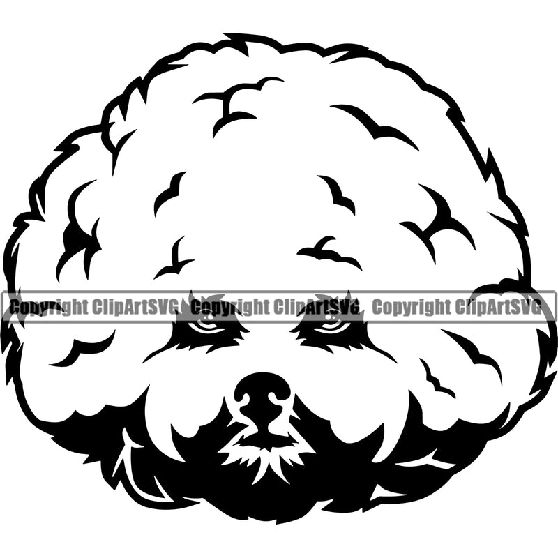 Head Bichon Frise Animal Dog Cute Pedigree Head Doggy Purebred Breed Canine Clipart SVG