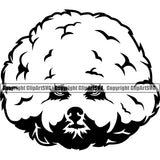 Head Bichon Frise Animal Dog Cute Pedigree Head Doggy Purebred Breed Canine Clipart SVG