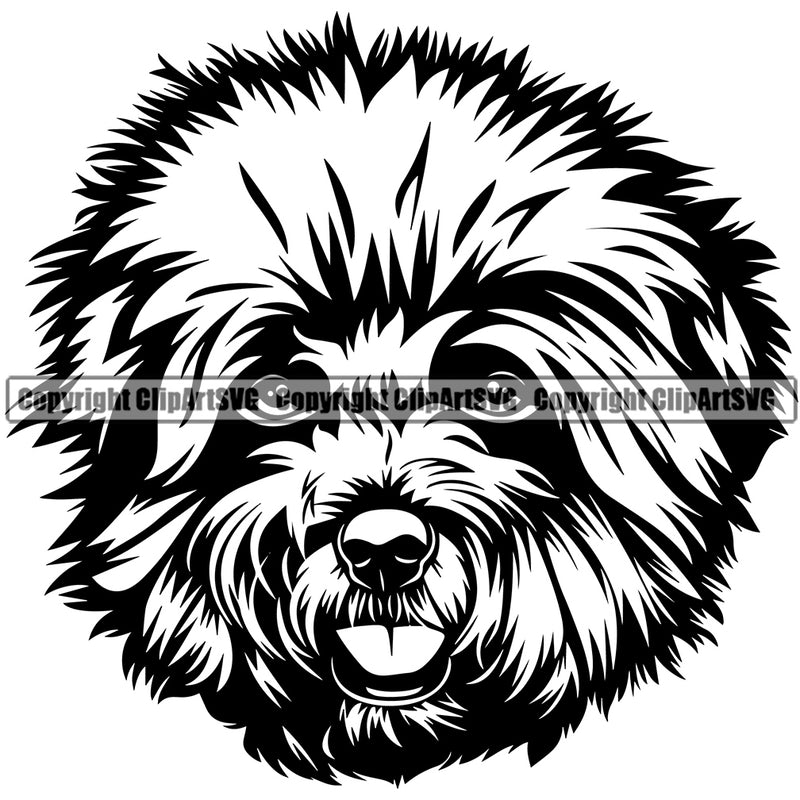 Bichon Frise Cute Animal Head Face Puppy Pedigree Head Doggy Purebred Breed Clipart SVG