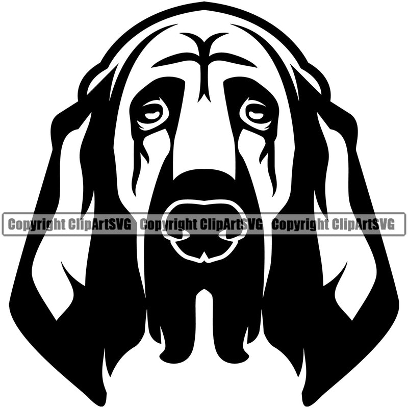 Bloodhound Dog Head Angry Face Pedigree Head Doggy Purebred Breed Clipart SVG