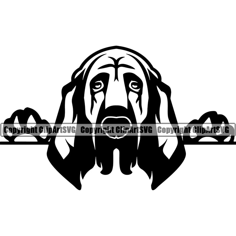 Peeking Bloodhound Dog Animal Pup Pedigree Head Doggy Purebred Breed Clipart SVG