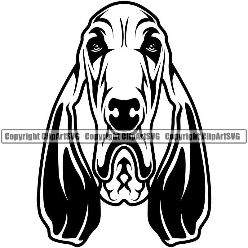 Bloodhound Head Dog Face Looking Pedigree Head Doggy Purebred Breed Clipart SVG