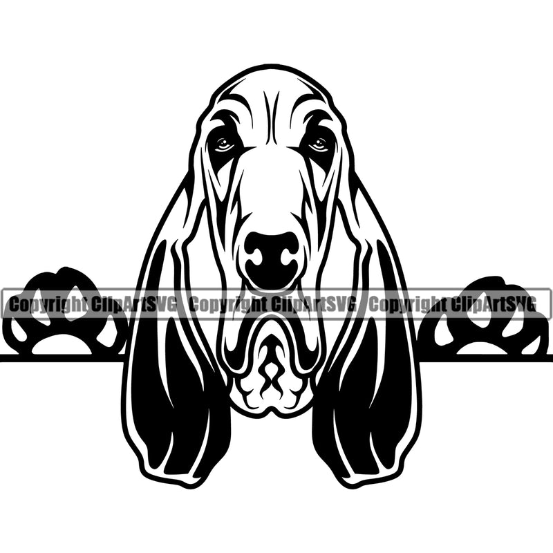 Peeking Bloodhound Dog Vector Face Pedigree Head Doggy Purebred Breed K9 Clipart SVG