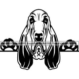 Peeking Bloodhound Dog Vector Face Pedigree Head Doggy Purebred Breed K9 Clipart SVG