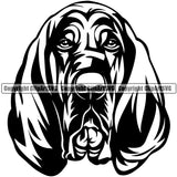 Bloodhound Dog Angry Face Pup Pedigree Head Logo Doggy Purebred Breed Canine Clipart SVG