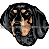 Color Bloodhound Dog Head Face Pedigree Head Doggy Purebred Breed Clipart SVG