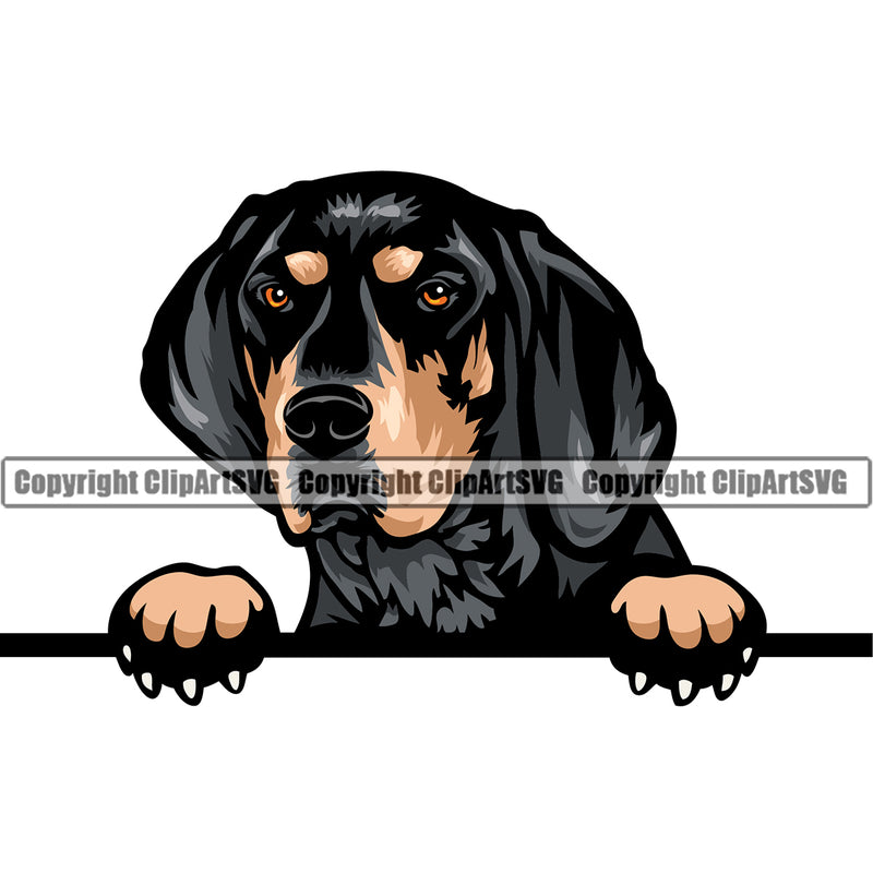 Bluetick Coonhound Peeking Color Head Pedigree Head Doggy Purebred Breed Clipart SVG