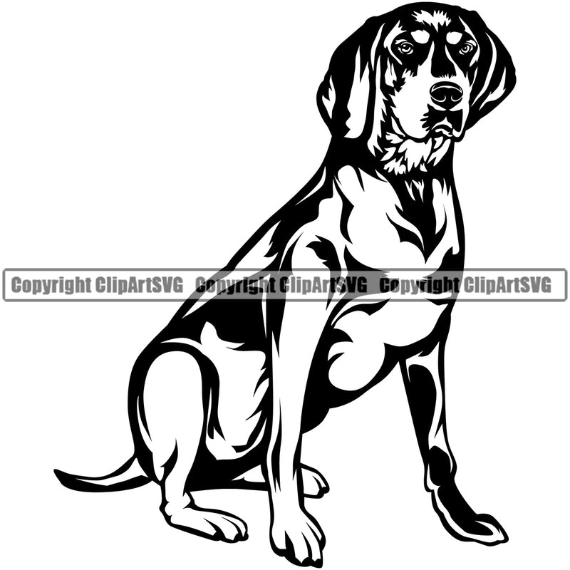 Bluetick Coonhound Dog Sitting Body Pup Pedigree Head Doggy Purebred Breed Clipart SVG