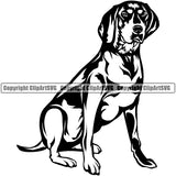 Bluetick Coonhound Dog Sitting Body Pup Pedigree Head Doggy Purebred Breed Clipart SVG