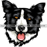 Border Collie Color Head Face Dog Pup Pedigree Head Doggy Purebred Breed Clipart SVG