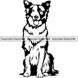 Border Collie Dog Sitting Pedigree Head Doggy Purebred Breed Canine Vector Clipart SVG