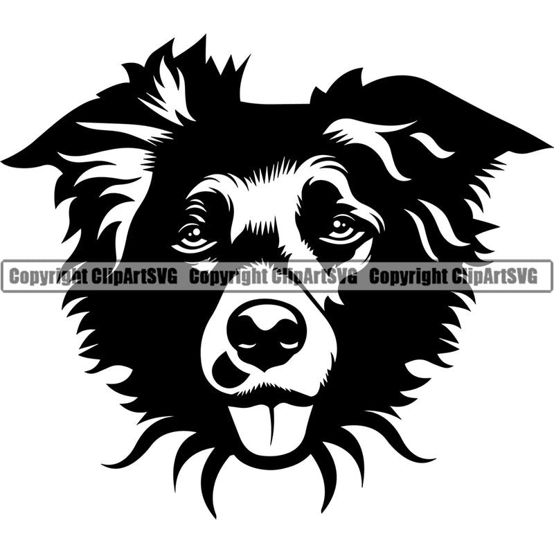 Head Border Collie Dog Animal Pup Pedigree Head Doggy Purebred Breed K9 Clipart SVG