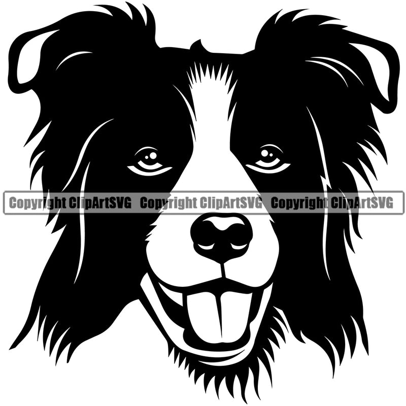 Border Collie Dog Animal Head Pup Pedigree Head Doggy Purebred Breed Clipart SVG