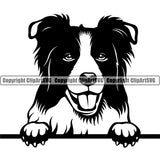 Border Collie Peeking Pedigree Head Doggy Purebred Breed Canine K-9 K9 Clipart SVG