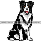 Border Collie Sitting Face Dog Animal Pedigree Head Doggy Purebred Breed Clipart SVG