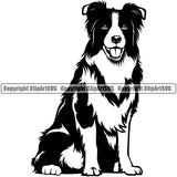 Border Collie Sitting Dog Animal Face Animal Pup Pedigree Head Doggy Purebred Breed Clipart SVG