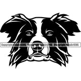 Animal Head Border Collie Animal Pup Pedigree Head Doggy Purebred Breed Canine Clipart SVG