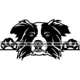 Peeking Border Collie Dog Animal Face Pedigree Head Doggy Purebred Canine K-9 K9 Clipart SVG