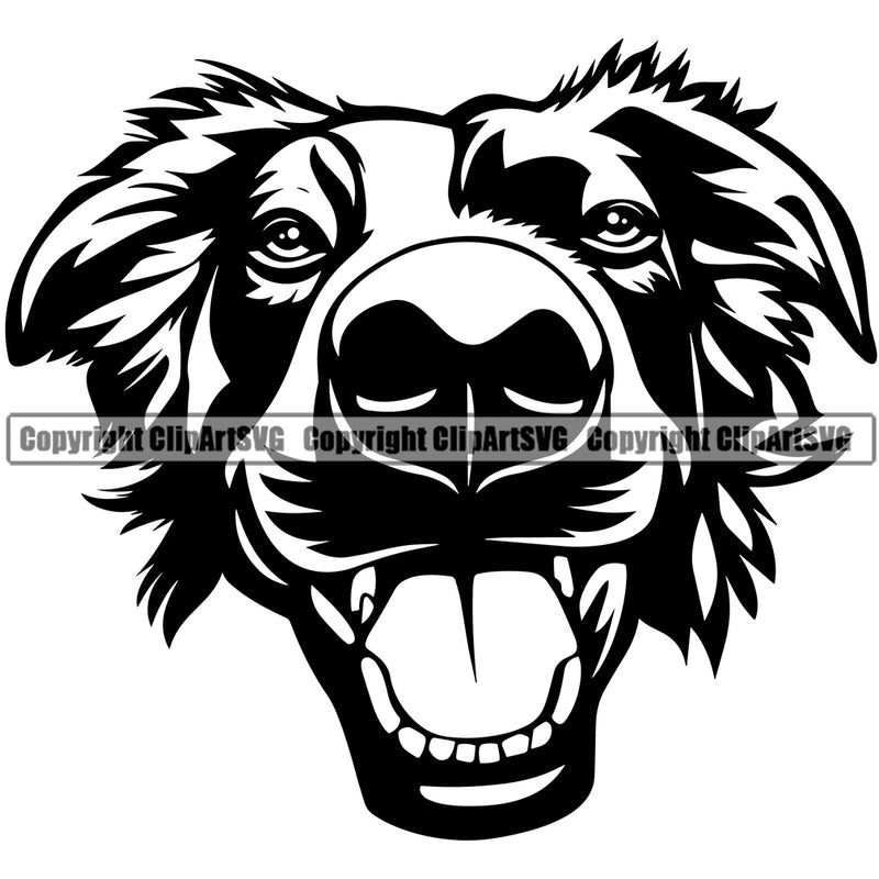 Border Collie Dog Head Breed Dog Animal Pup Pedigree Head Doggy Purebred Clipart SVG