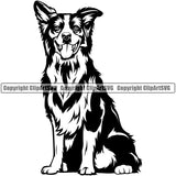 Border Collie Sitting Animal Dog Pup Pedigree Head Doggy Purebred Breed Clipart SVG