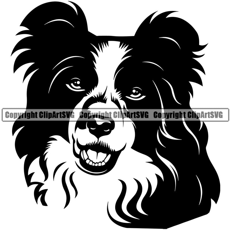 Border Collie Animal Dog Head Face Pup Pedigree Head Doggy Purebred Breed Canine Clipart SVG