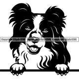 Border Collie Peeking Animal Dog Face Pedigree Doggy Purebred Breed Canine K-9 Clipart SVG