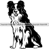 Border Collie Sitting Dog Animal Canine K-9 K9 Cute Face Head Doggy Purebred Clipart SVG